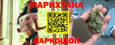 гидра Новозыбков