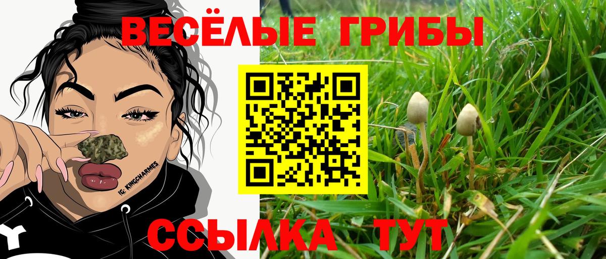 Сибай  Галлюциногенные грибы мицелий  Вход с VPN 